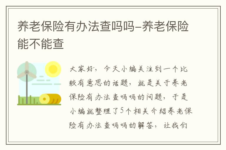 养老保险有办法查吗吗-养老保险能不能查