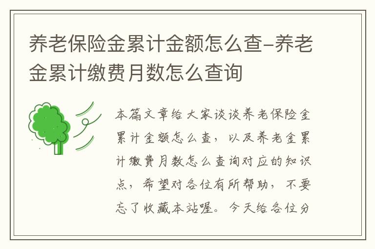 养老保险金累计金额怎么查-养老金累计缴费月数怎么查询